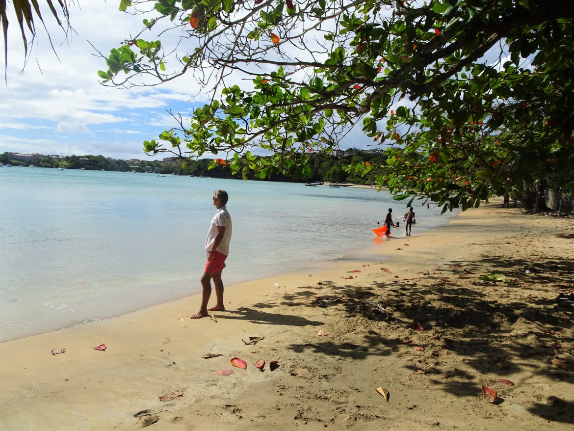 L'Anse aux Epines beach, Grenada