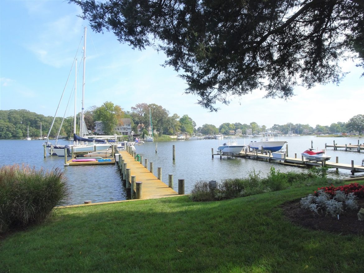 Beautiful bright day in Almshouse Creek