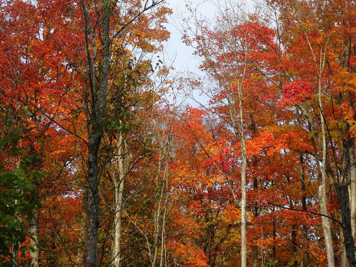 Autumn colors in Ontario, Canada