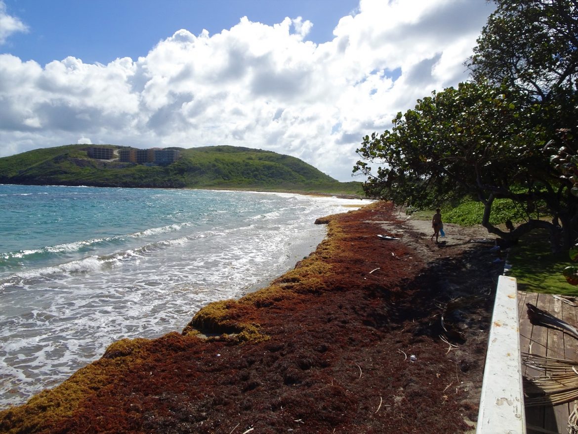 Turtle Beach, St.Nevis