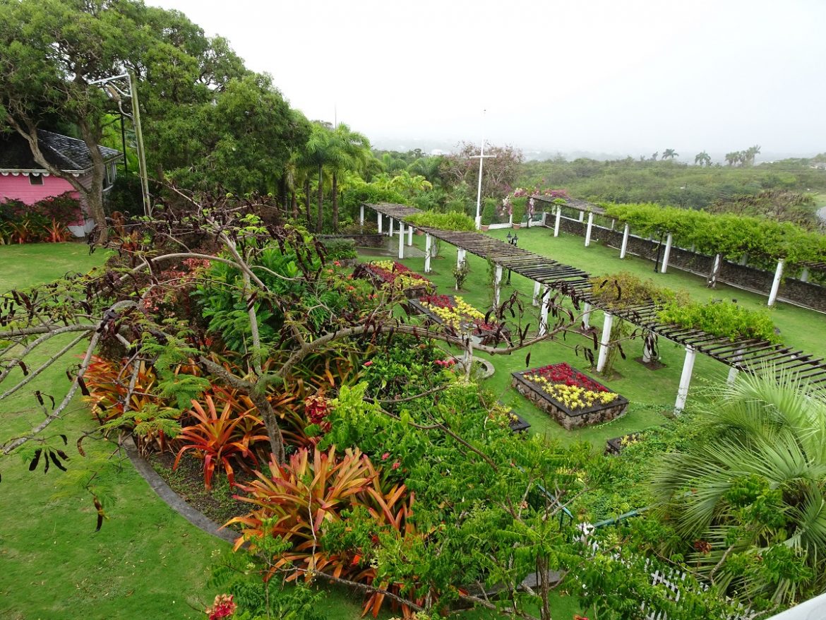 Botanical Gardens, Nevis