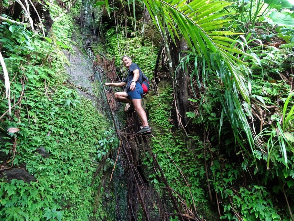 The ladder at the end of the trek to the source, Nevis