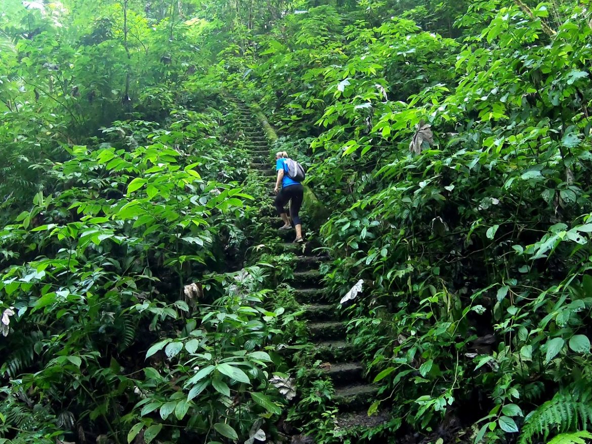 trek to the source, Nevis