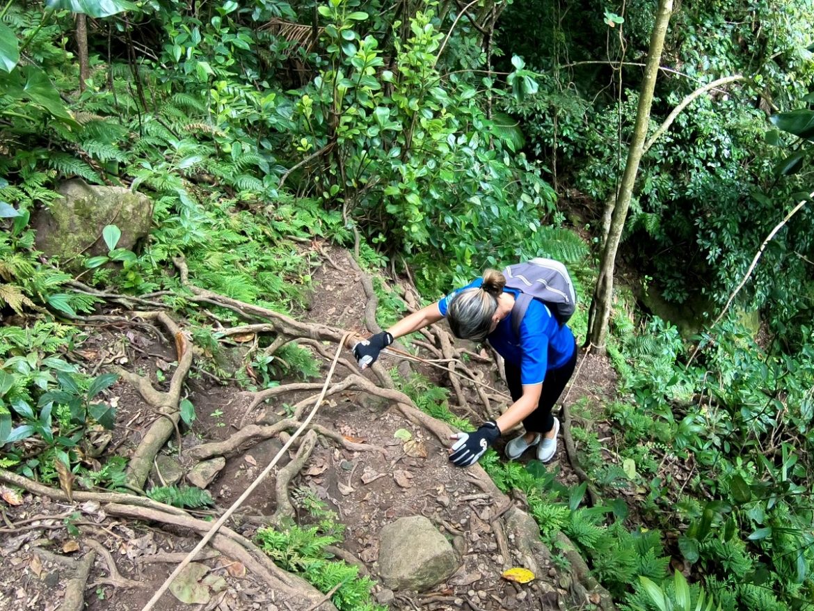 Climb Nevis volcano - ascend climbing on roots