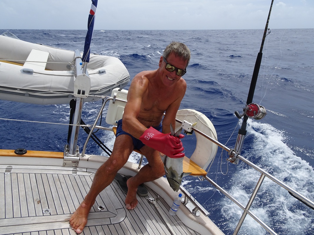 Catch of the day, jack fish