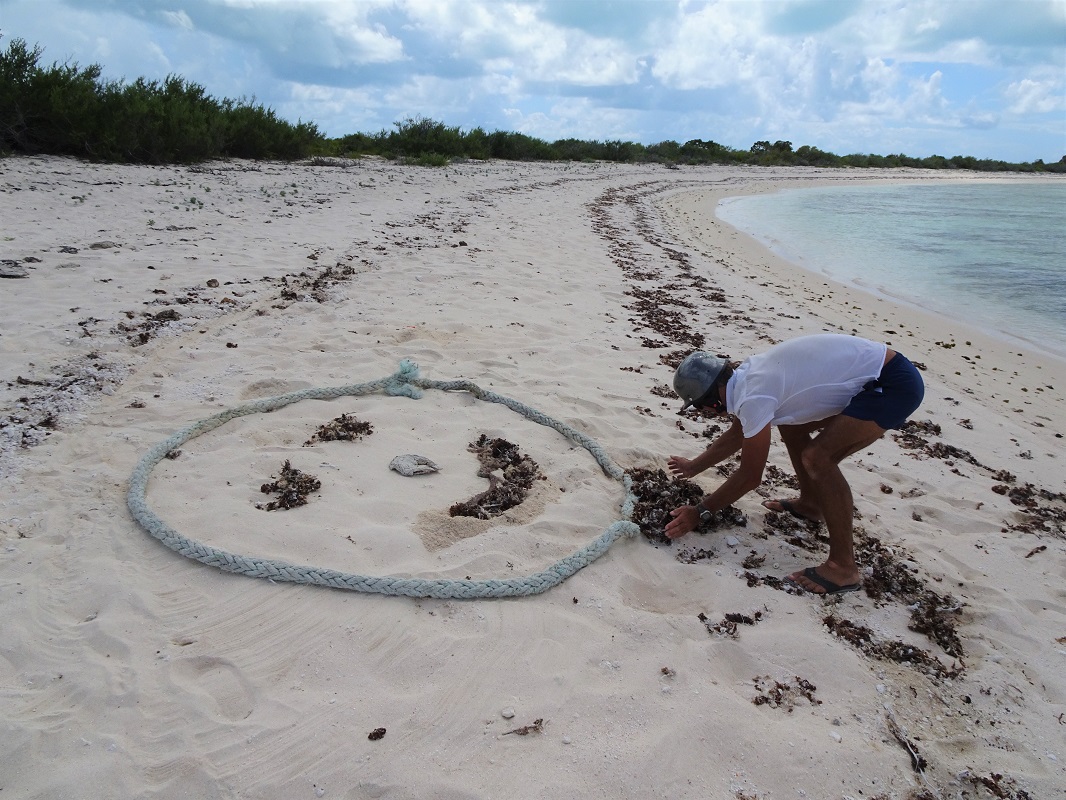 Playing on the beach, Anegada BVI Playing on the beach, Anegada BVI