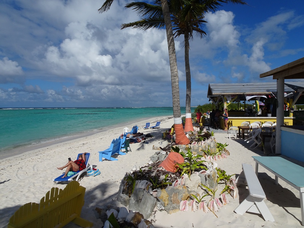 Cow Wreck Beach Bar, Anegada BVI Cow Wreck Beach Bar, Anegada BVI