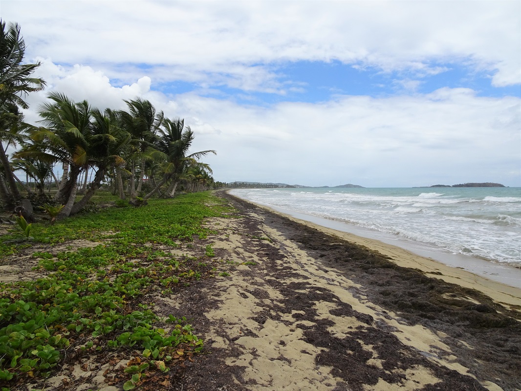 Punta Santiago beach, Puerto Rico Punta Santiago beach, Puerto Rico
