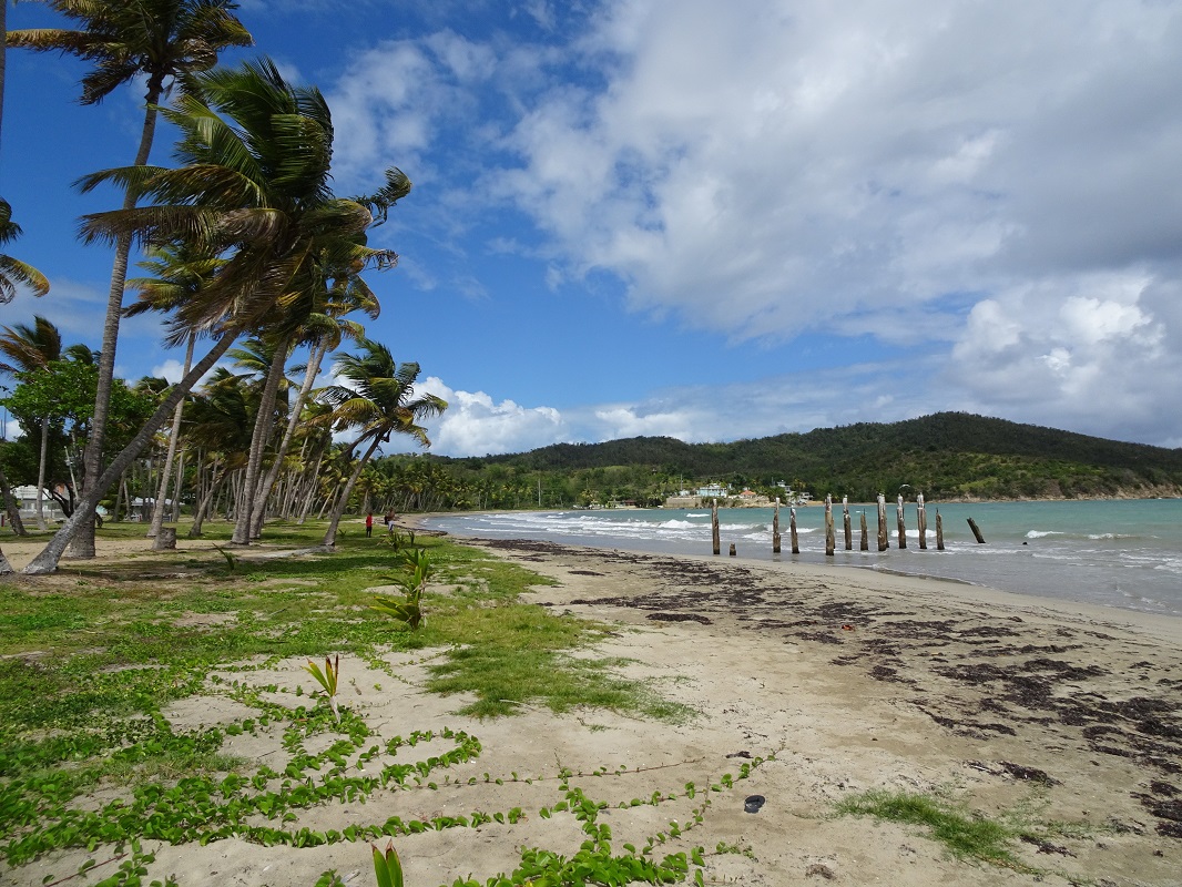 Playa de Guayanes (Guayanes Beach, south east Puerto Rico Playa de Guayanes (Guayanes Beach, south east Puerto Rico