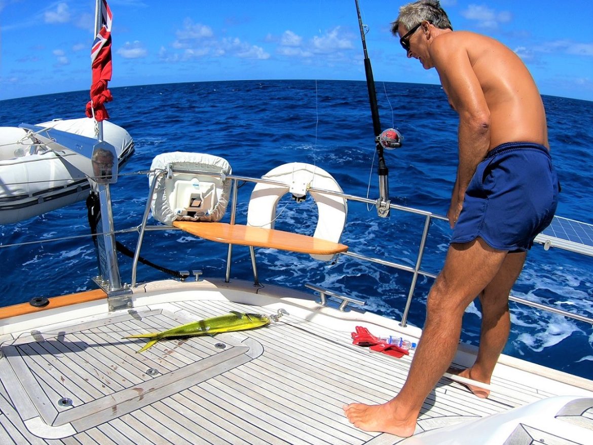 Glen lands a mahi-mahi, Turks & Caicos Glen lands a mahi-mahi, Turks & Caicos
