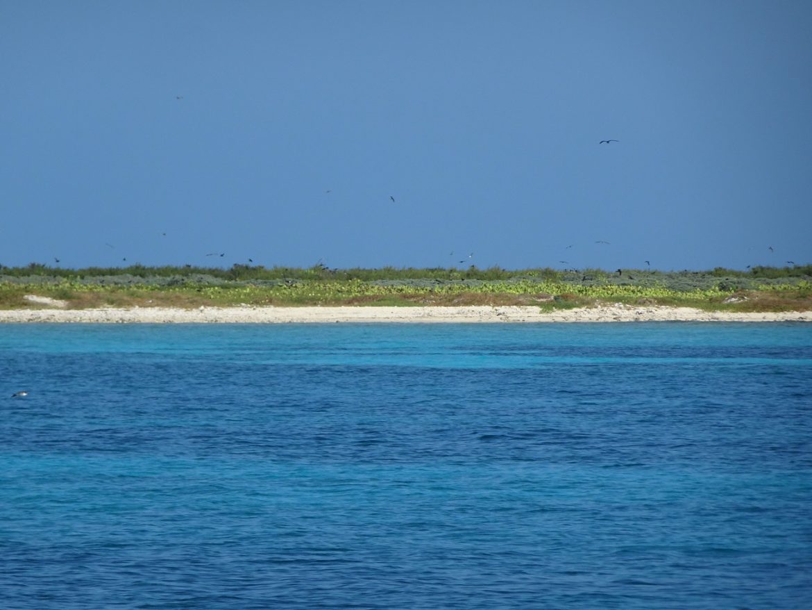 French Cay, Turks & Caicos French Cay, Turks & Caicos