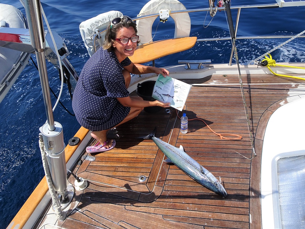 Identifying the catch of the day, Turks & Caicos