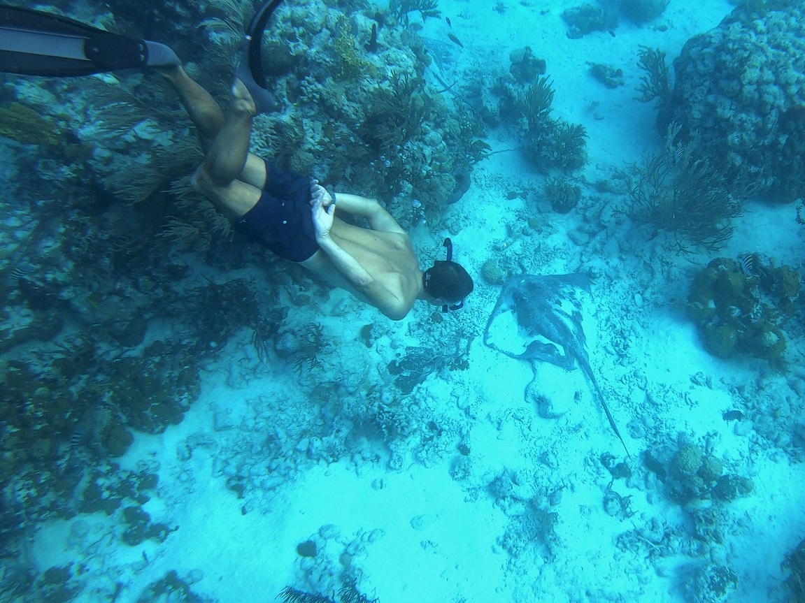 Snorkeling the Aquarium, O’Brien’s Cay Snorkeling the Aquarium, O’Brien’s Cay