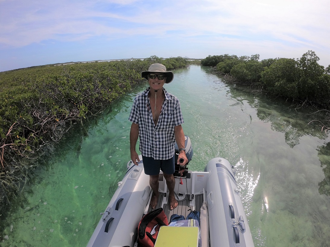 Mangroves in Shroud, Bahamas Mangroves in Shroud, Bahamas
