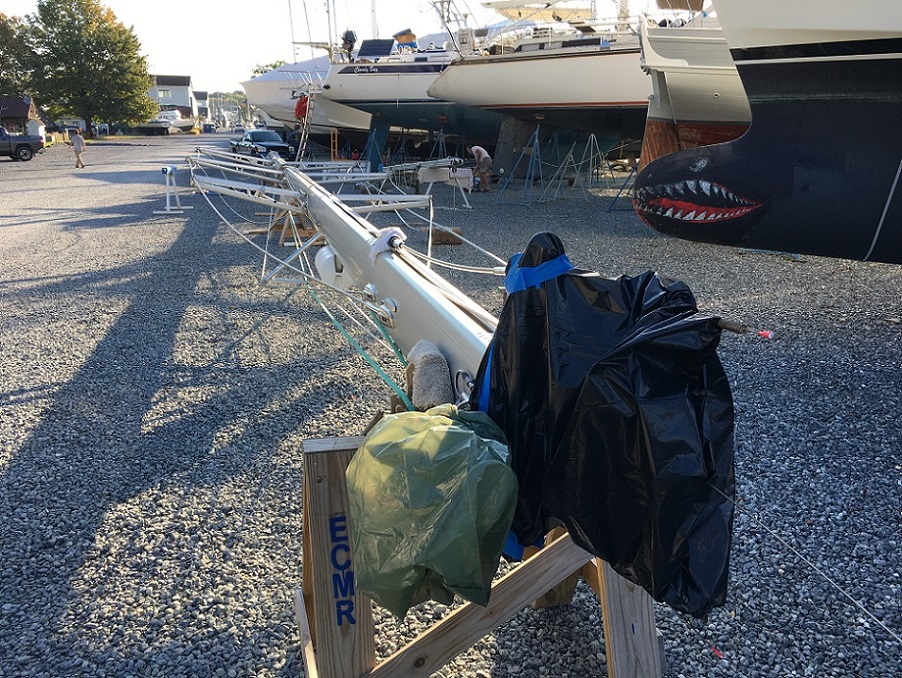 bird-poop-preventer on top of the mast bird-poop-preventer on top of the mast