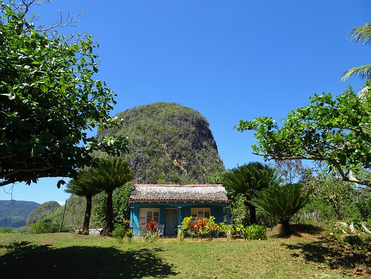 Vinales