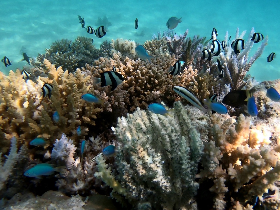 Fakarava NE anchorage